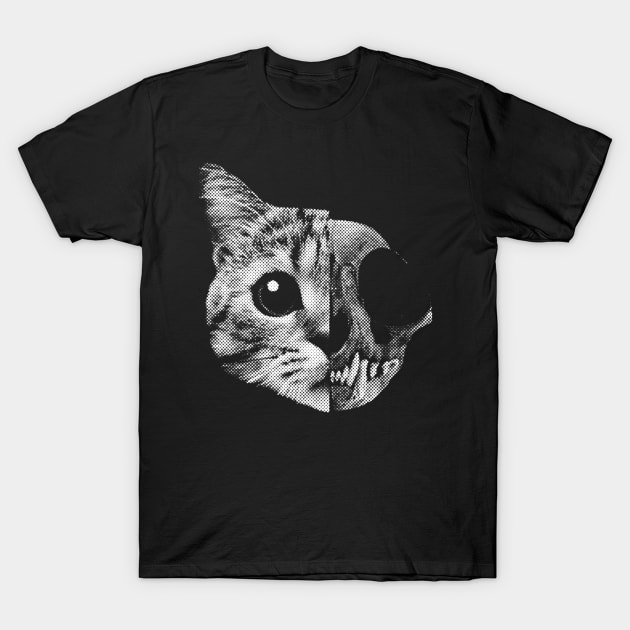 Schrödinger's cat T-Shirt by Evarcha